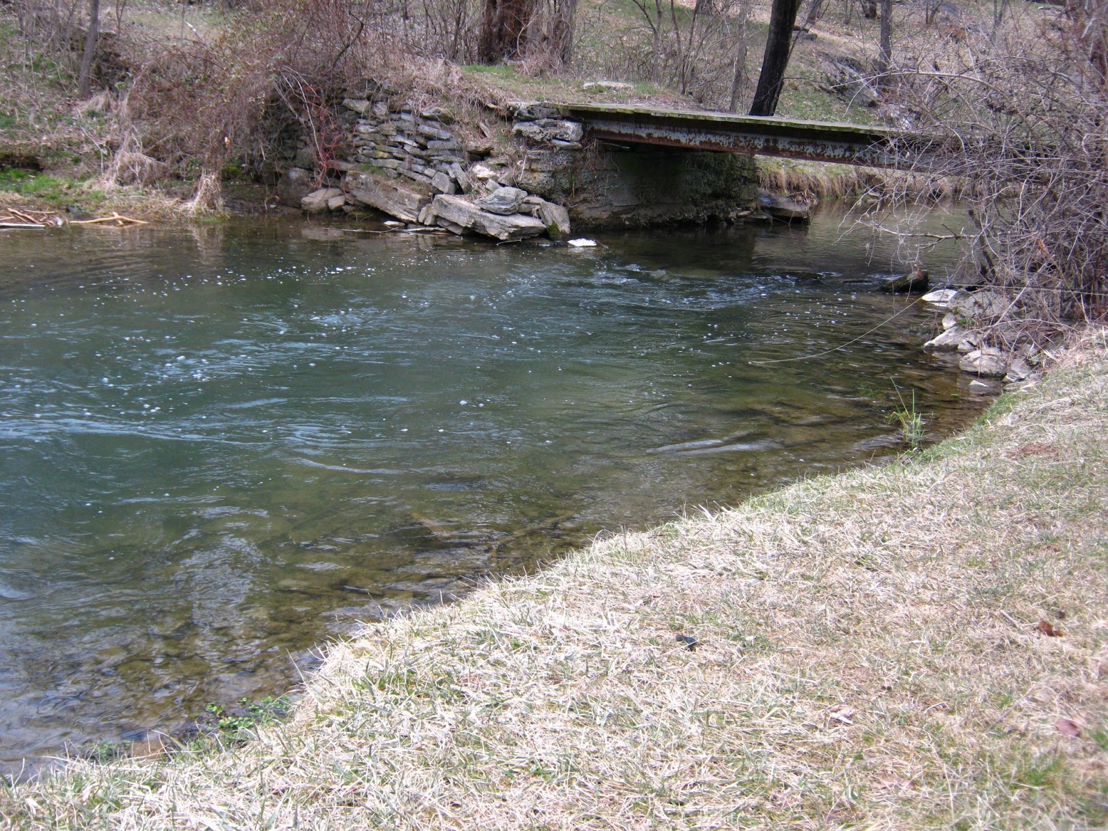 Fly Fishing & Tying Obsessed Beaver Creek Fishing Report