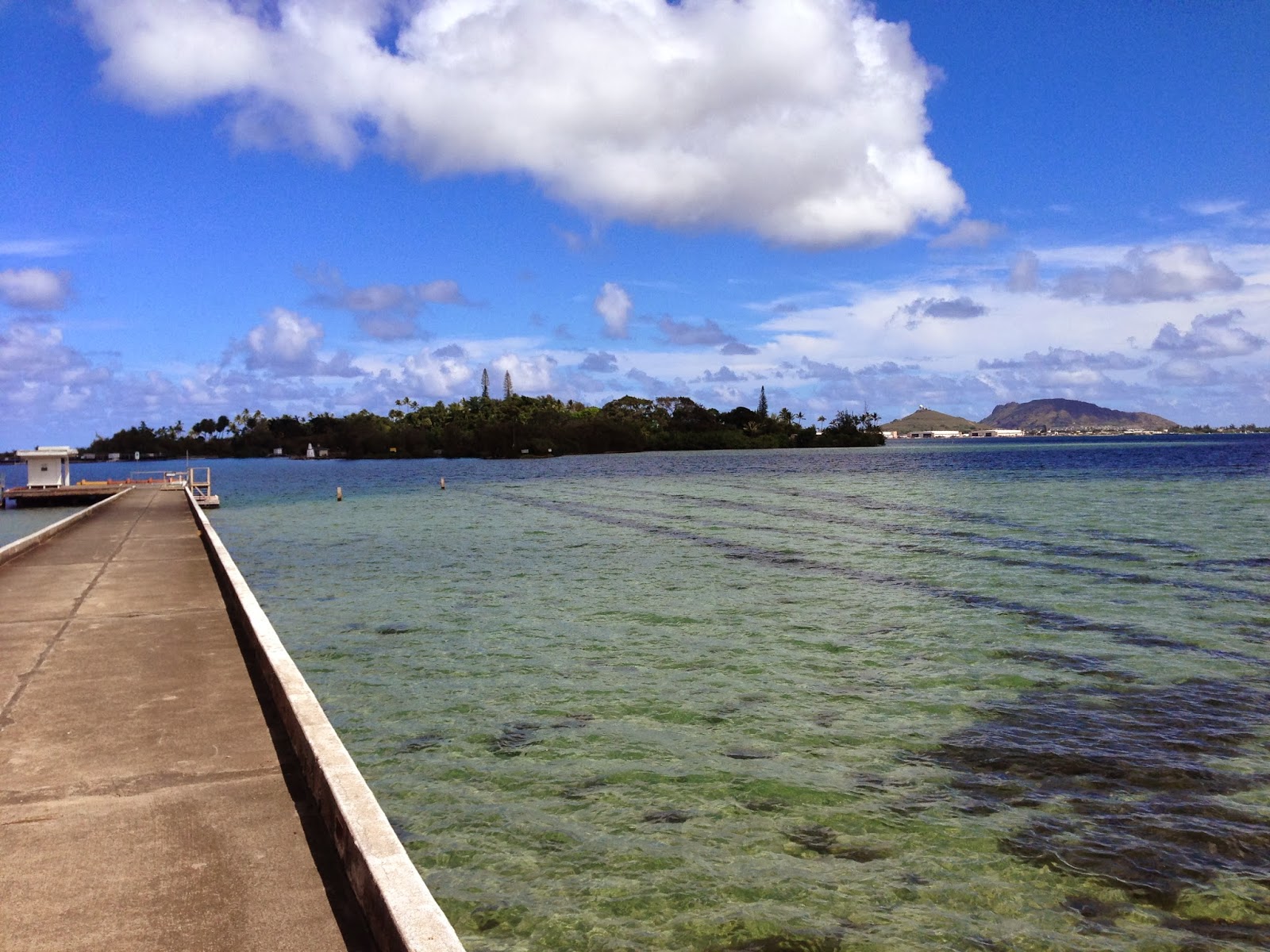 TASTE OF HAWAII COCONUT ISLAND (MOKU O LO'E) GILLIGAN'S ISLAND