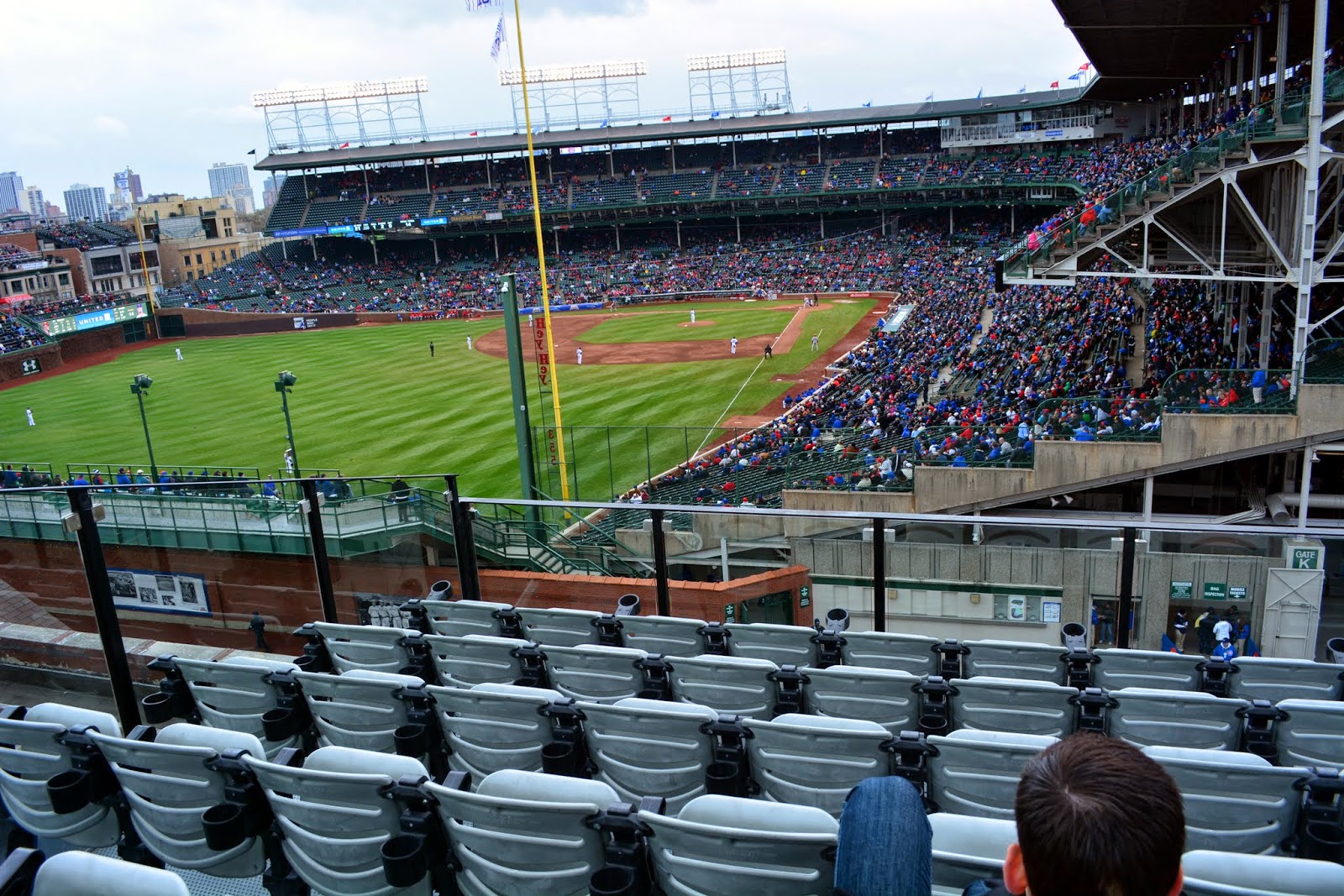 Mille Fiori Favoriti Wrigley FieldChicago CubsCelebrating 100 Years!