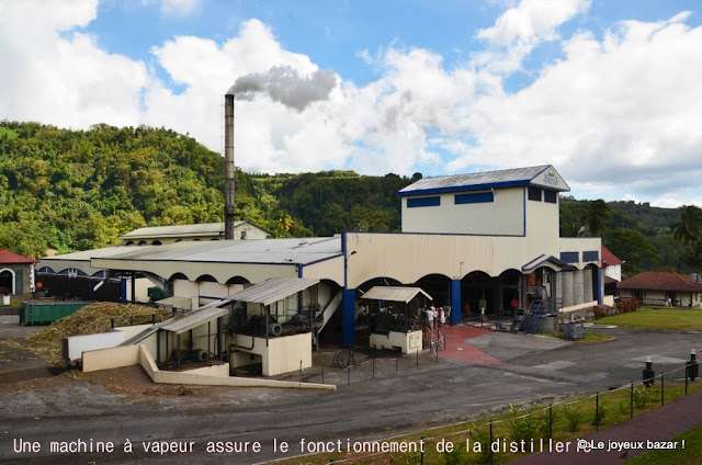 Martinique  - distillerie Depaz