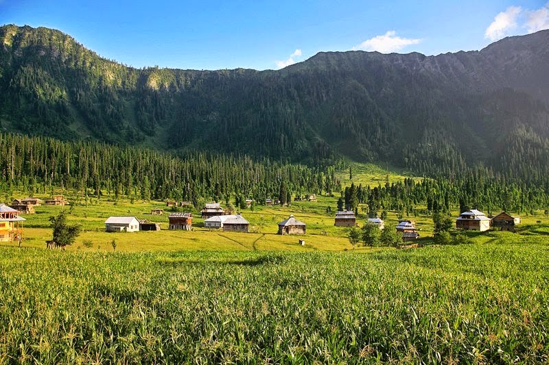 ARANG KEL NEELUM VALLEY