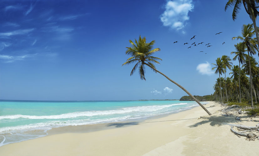 Tropical Beach Wallpaper Hd. each on each wallpaper