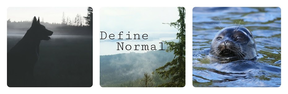 Define Normal