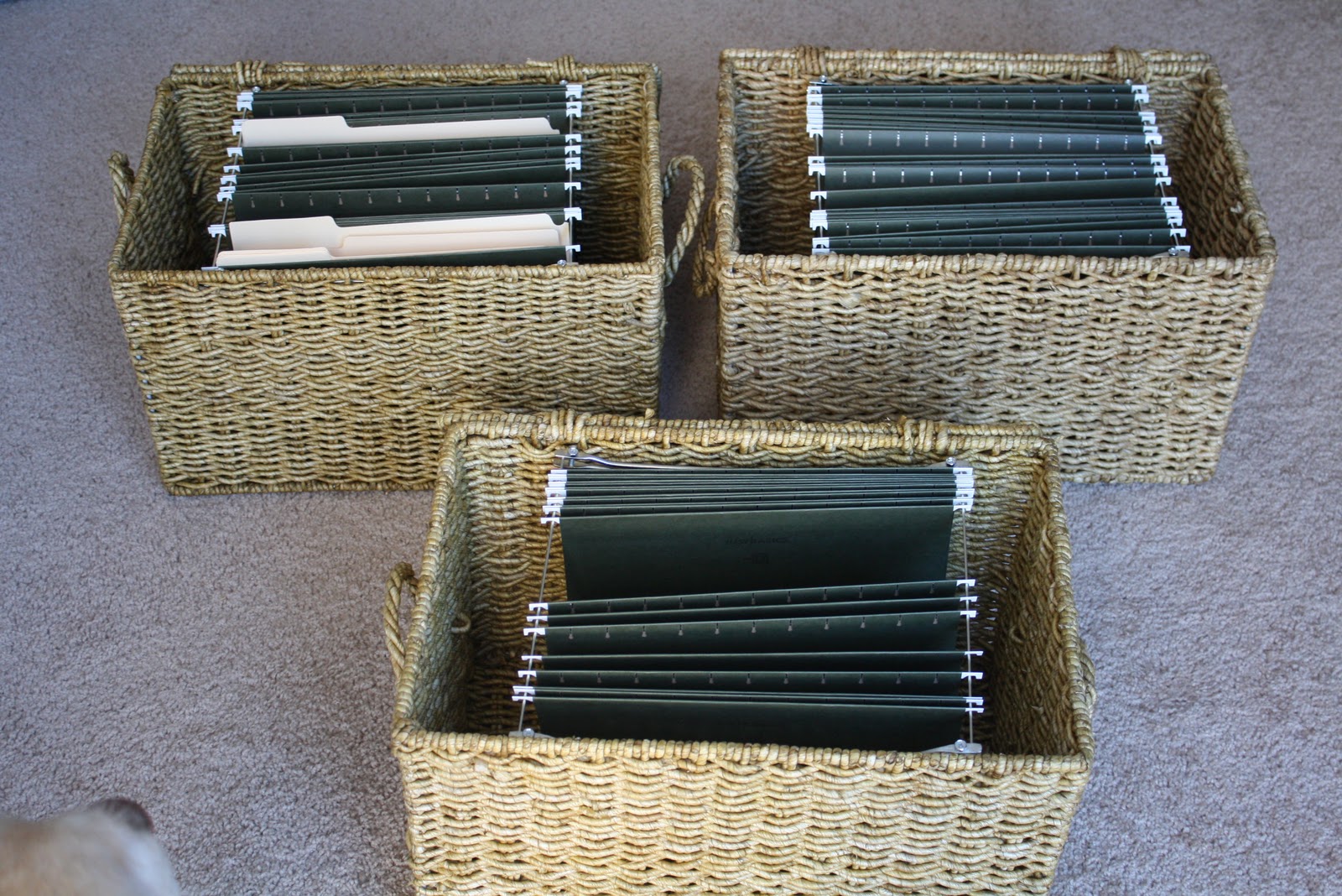 Stillwater Story Ballard Design File Storage Basket for Less!