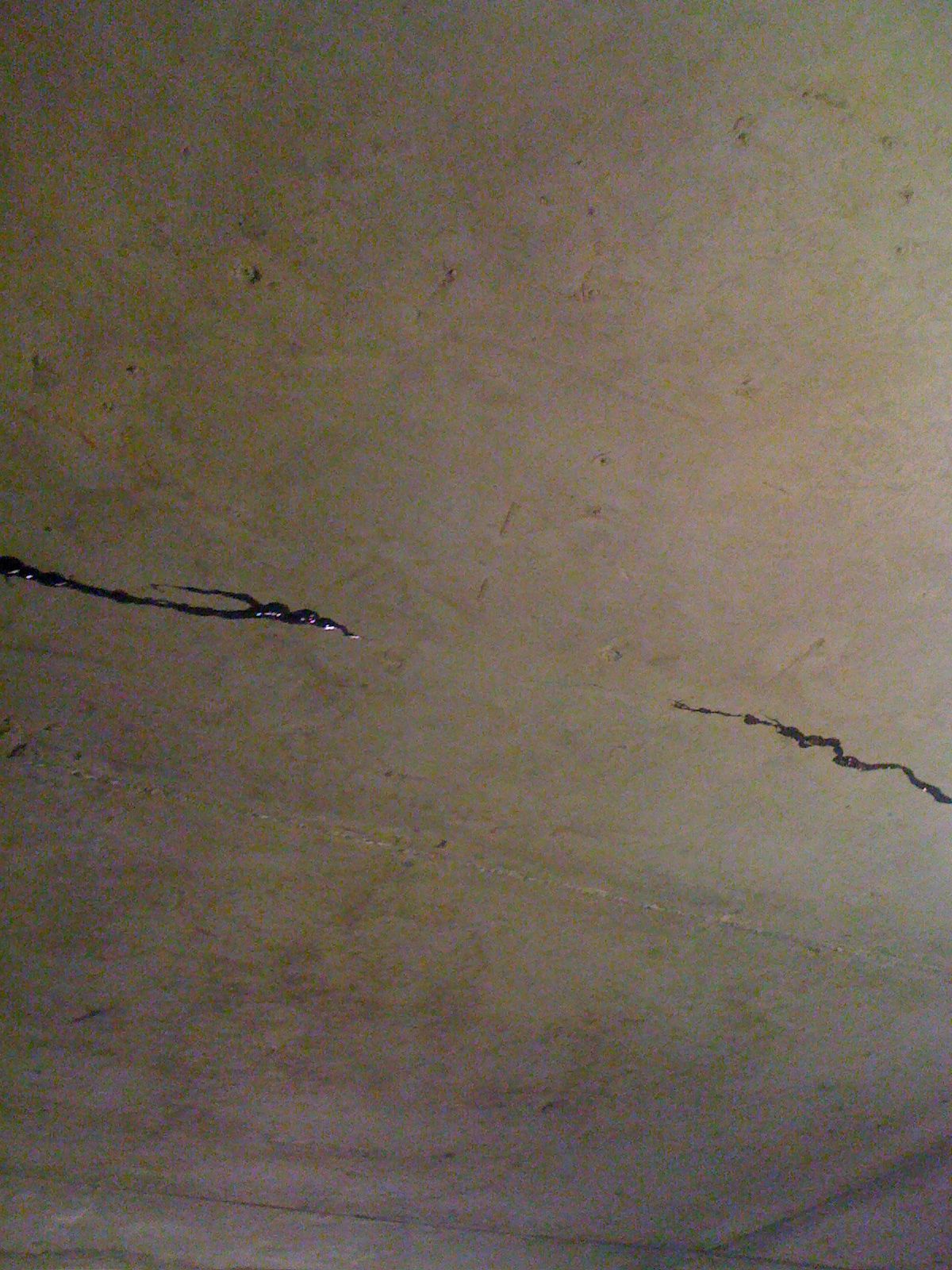 Miroslav Philharmonik Ce Keygen Mac