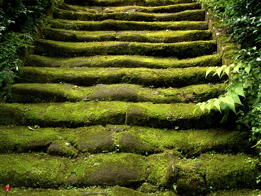 stone-steps_sugimotodera.jpg