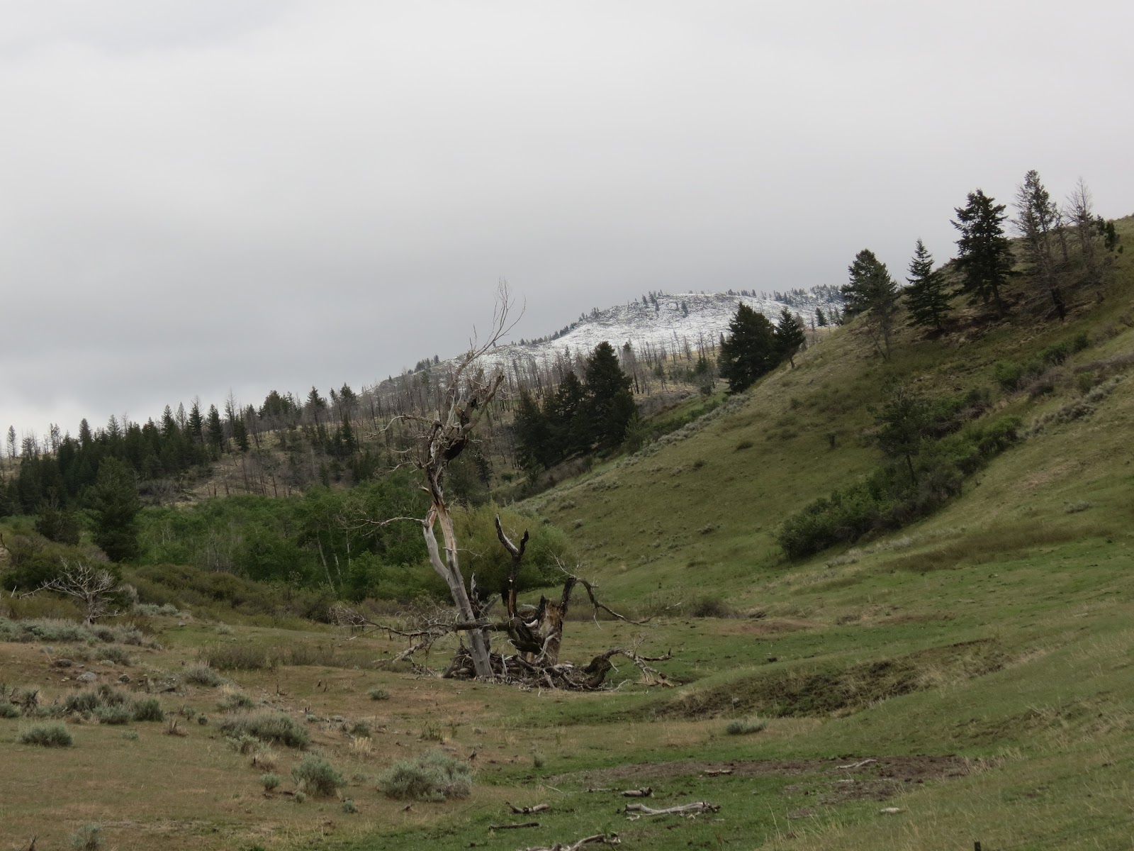 Where's Liz2012? Big Timber, Montana