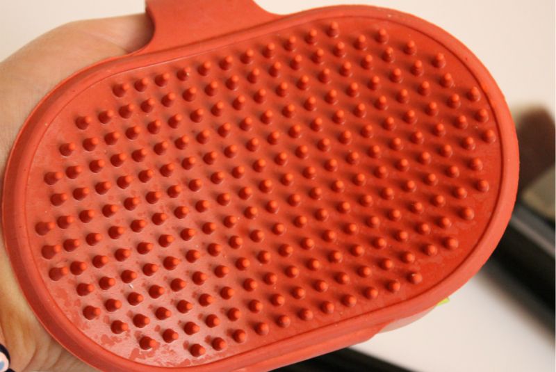 Brush Cleansing Mitts! The Sunday Girl