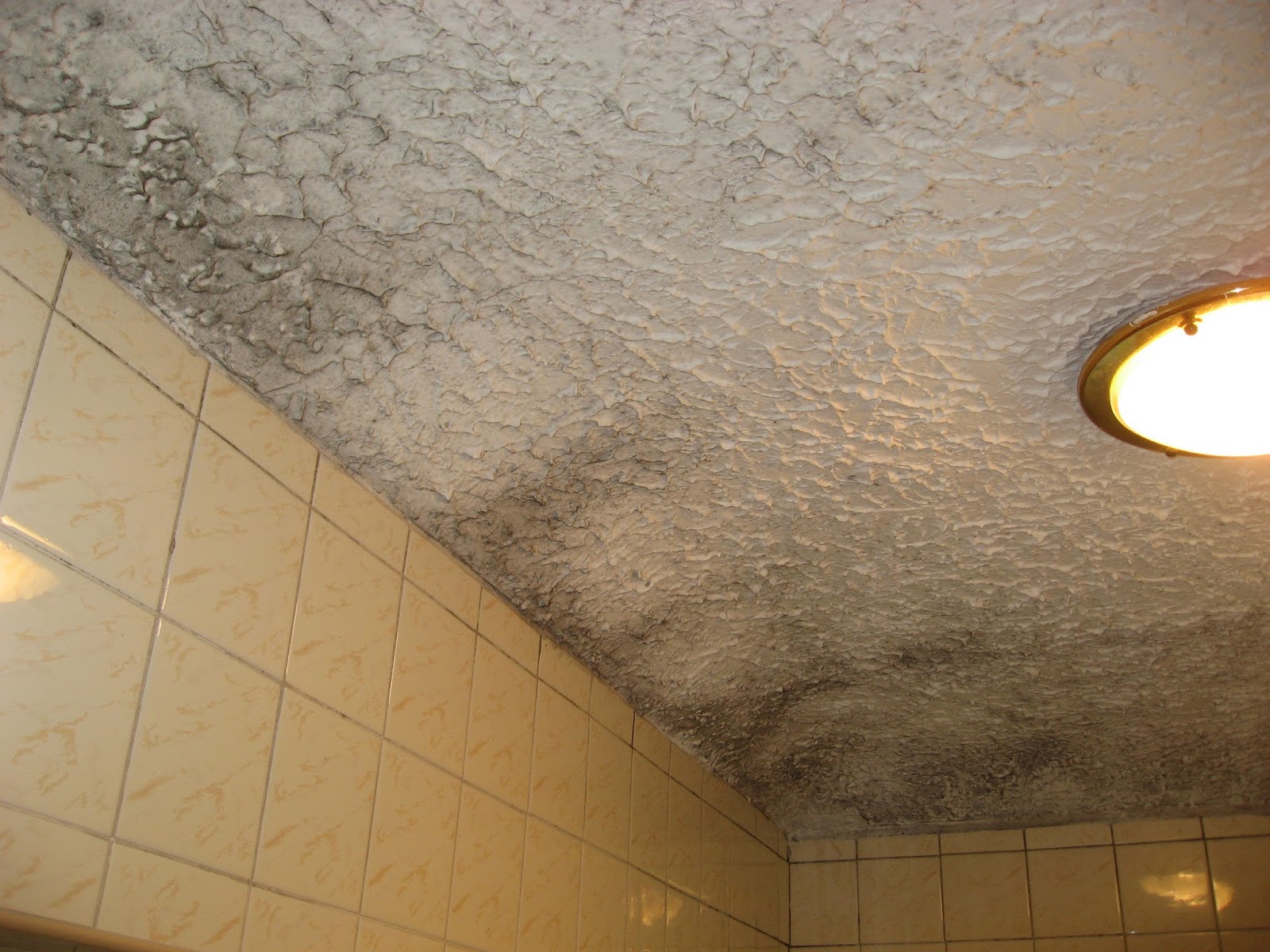 Cleaning Mold Bathroom Tiles Best Bathroom 2017 With Regard