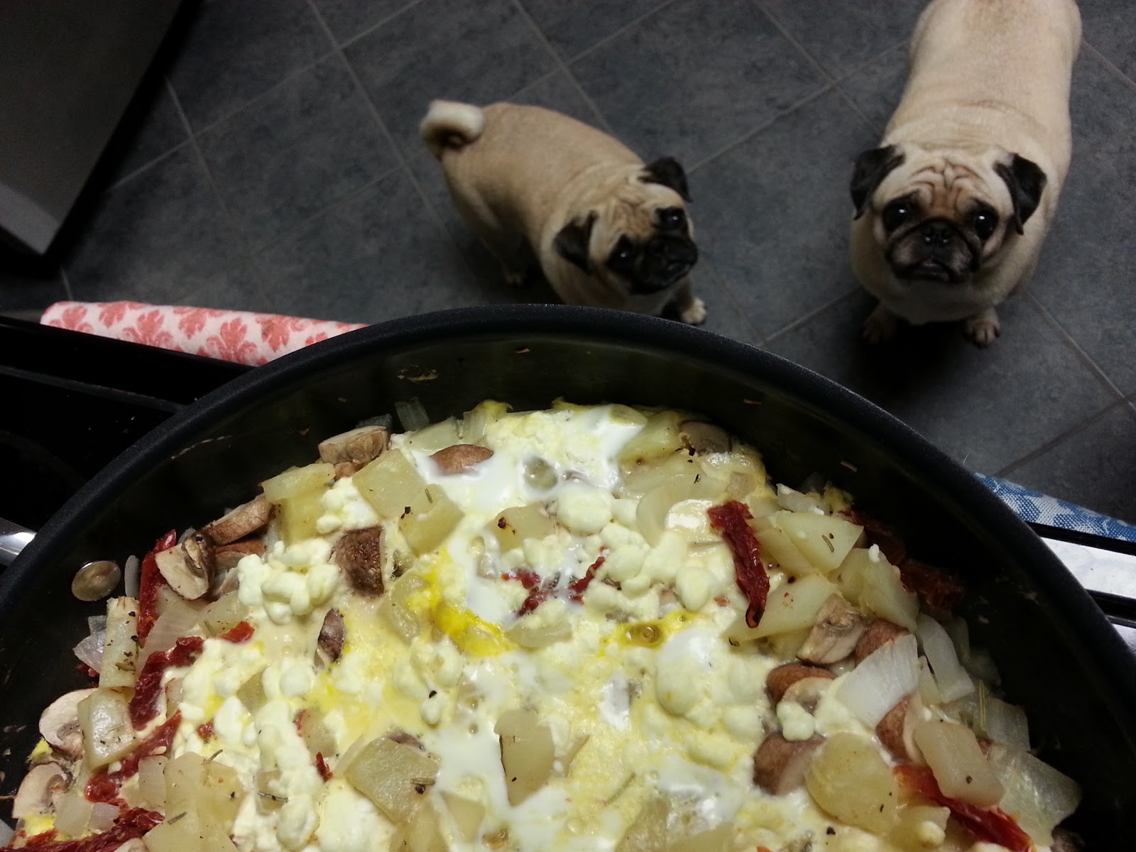 Grubbin' Pugs Spanish "Tortilla"