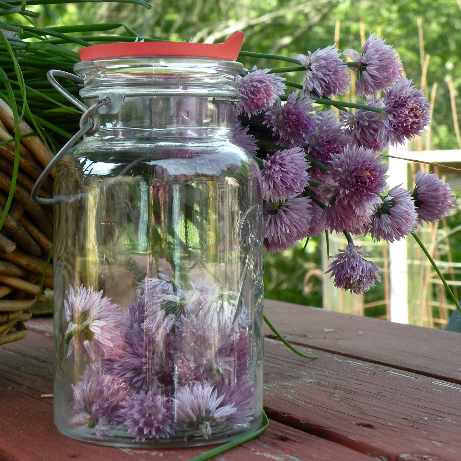 Does Vinegar Help Flowers at Joanne Stalnaker blog