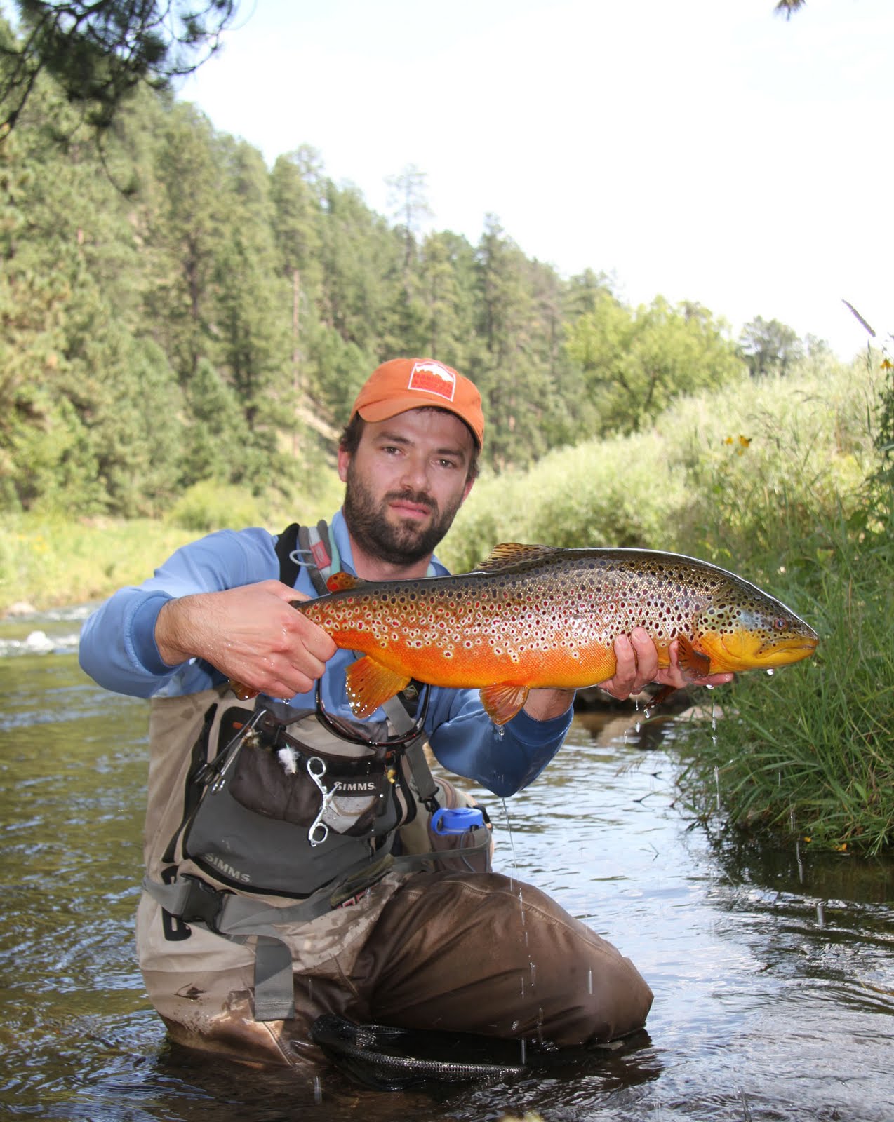 Black Hills Fly Fishing Dang purty brown trout