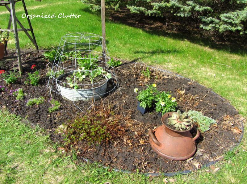 Planning & Planting My Front Yard Border 2014 | Organized Clutter