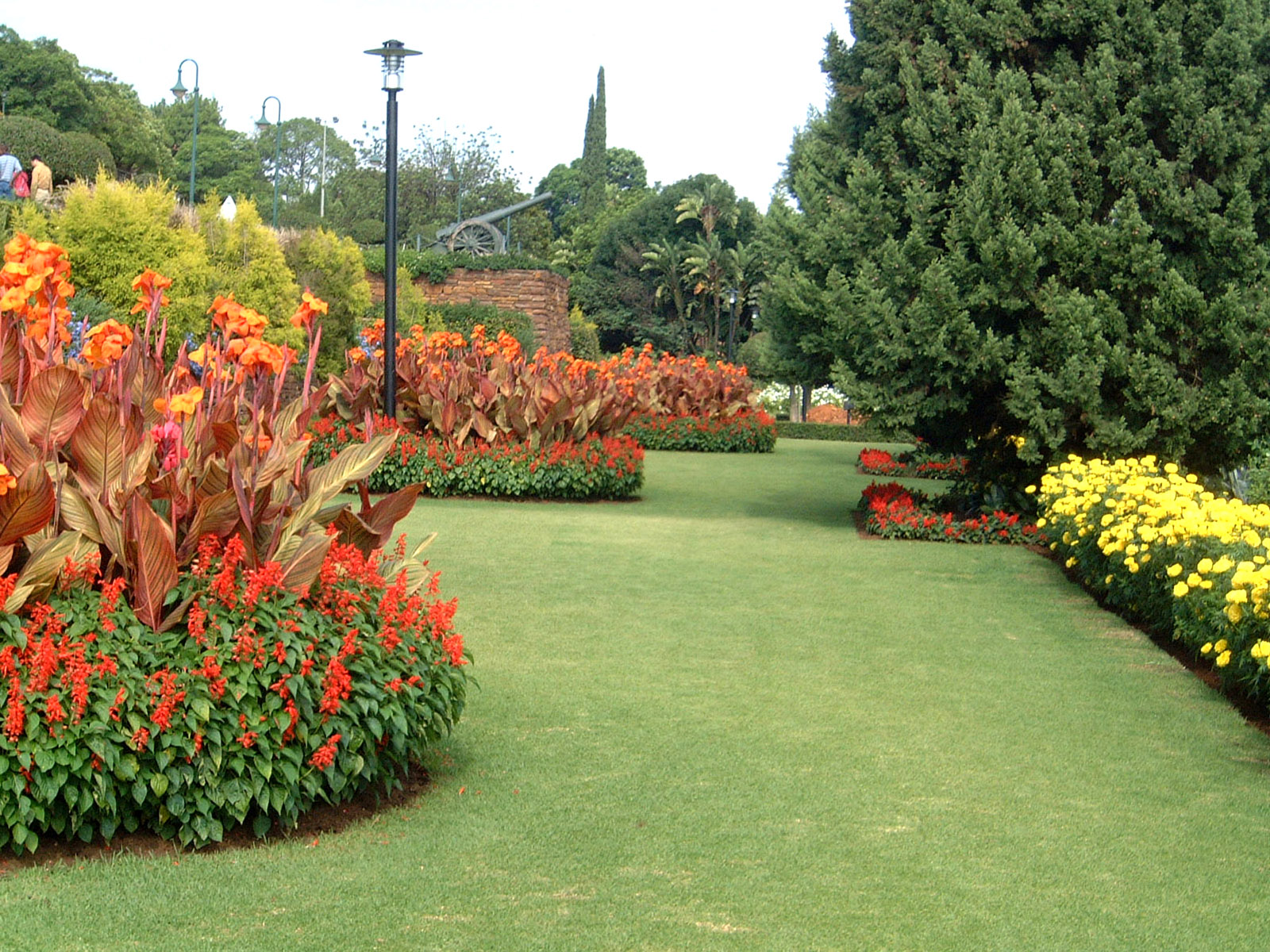 flowers for flower lovers. Flowers wallpapers natural sceneries.