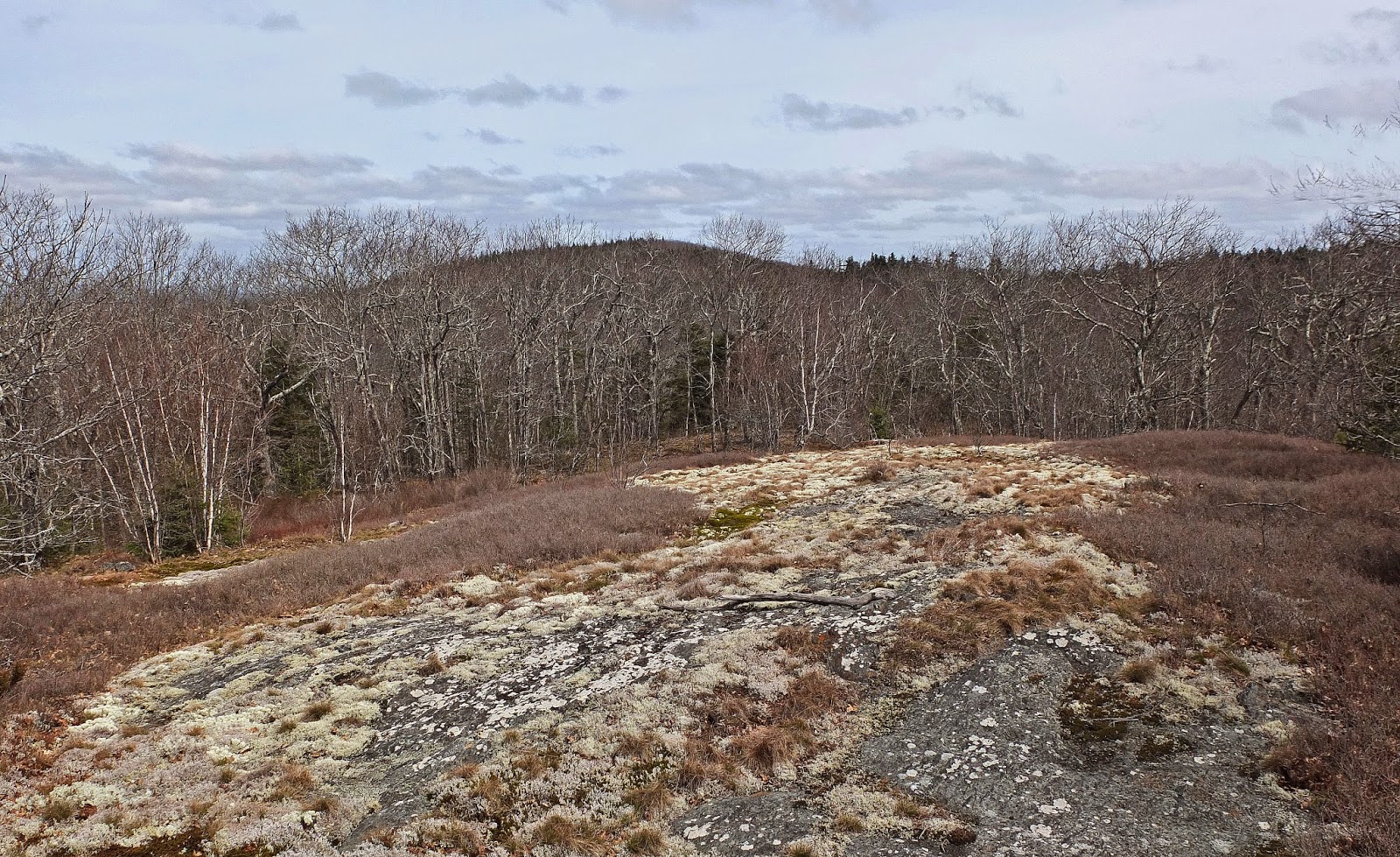 Hiking in Maine with Kelley 4/29/14 Frye Mountain