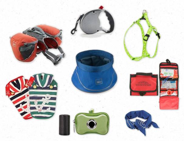 Can You Bring Your Dog To Rei Can You Bring Your Dog To Rei