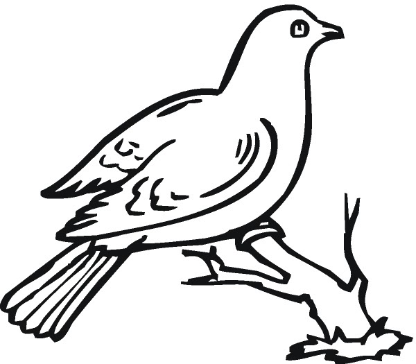 stalk bird coloring pages &gt;&gt; Disney Coloring Pages