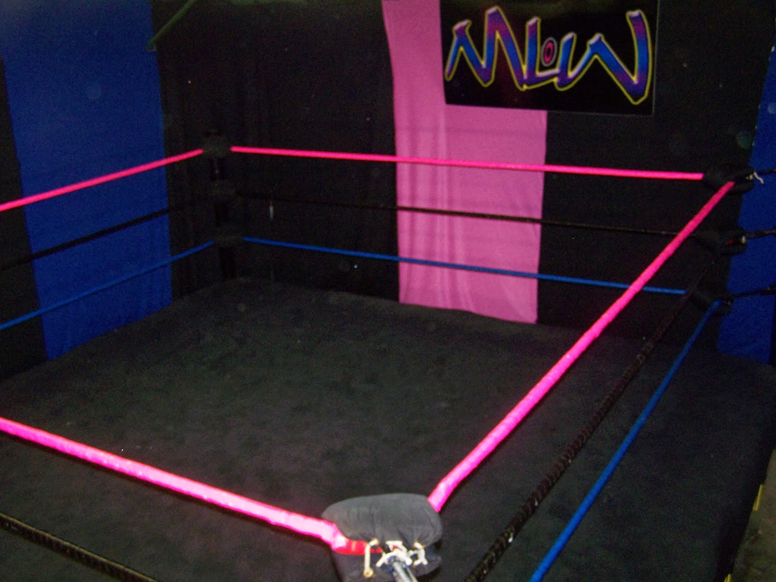 Wrestling News Center THE OFFICIAL November 9th lineup for the women's AND men's custom match