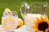 Sunflower and Lemonade Photo