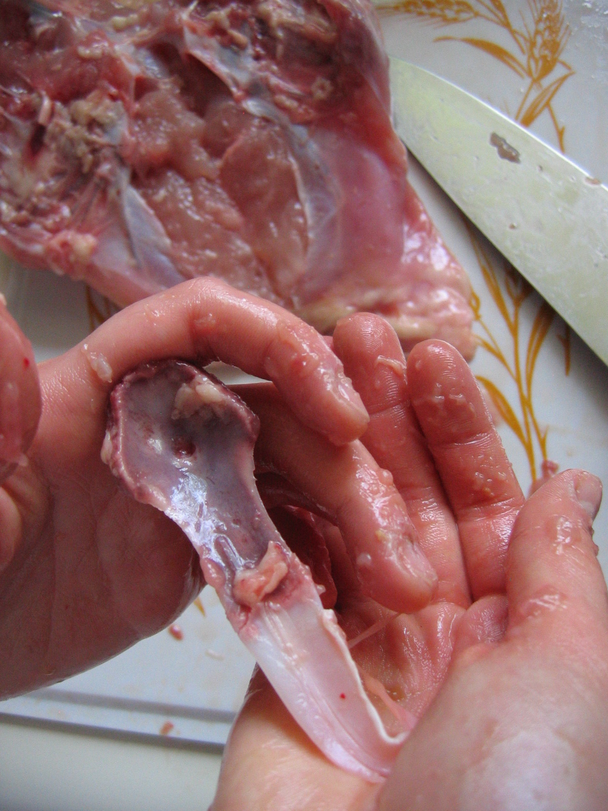 chicken keel