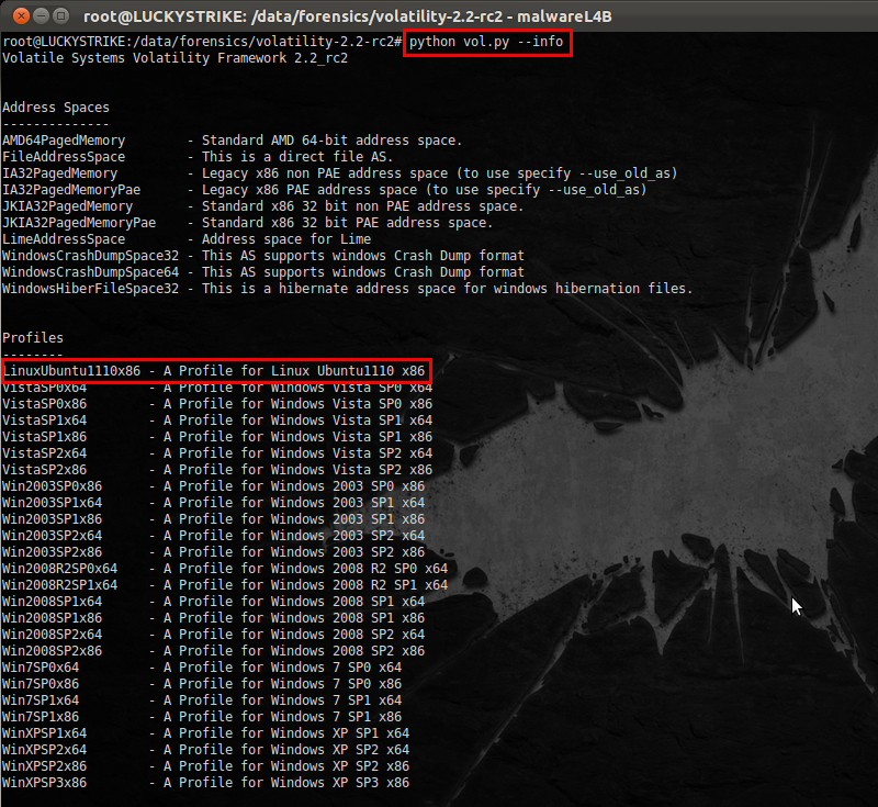 malwareL4B Volatility 2.2 RC2 Linux Profile 생성