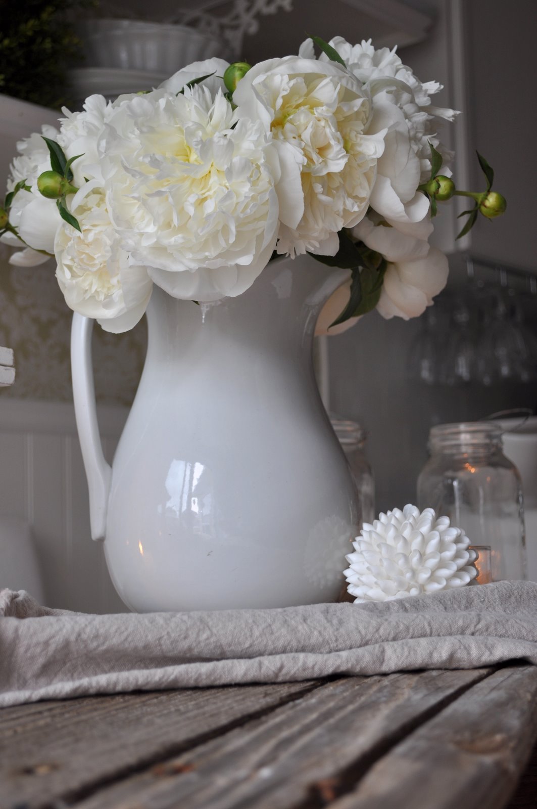 Gardening In The Heart Of Virginia Peony Power