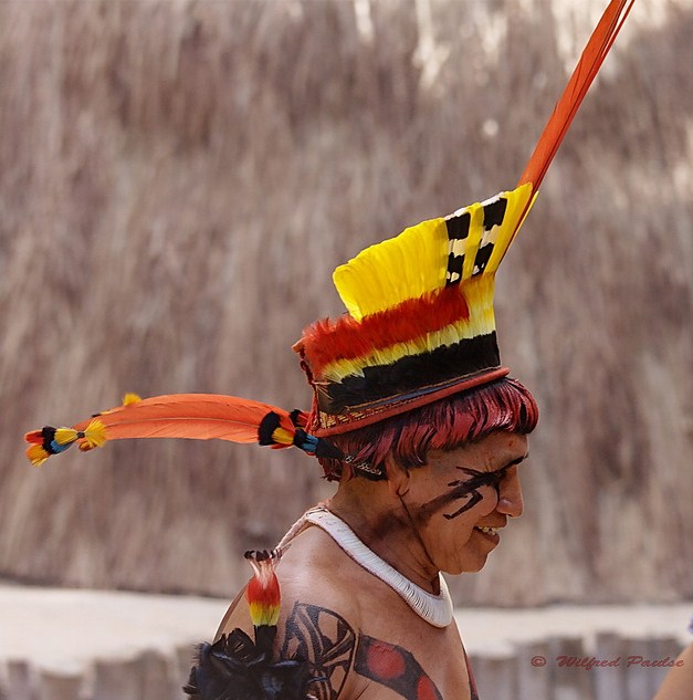 Tribal Headdresses From Around The World Part VI 
