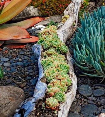 Barnabas Lane: Top 10 Succulent Planters