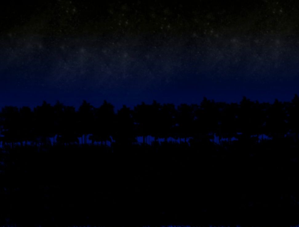 Image Nighttime forest by Shading Dreams Creepypasta Wiki Image Nighttime forest by Shading Dreams Creepypasta Wiki