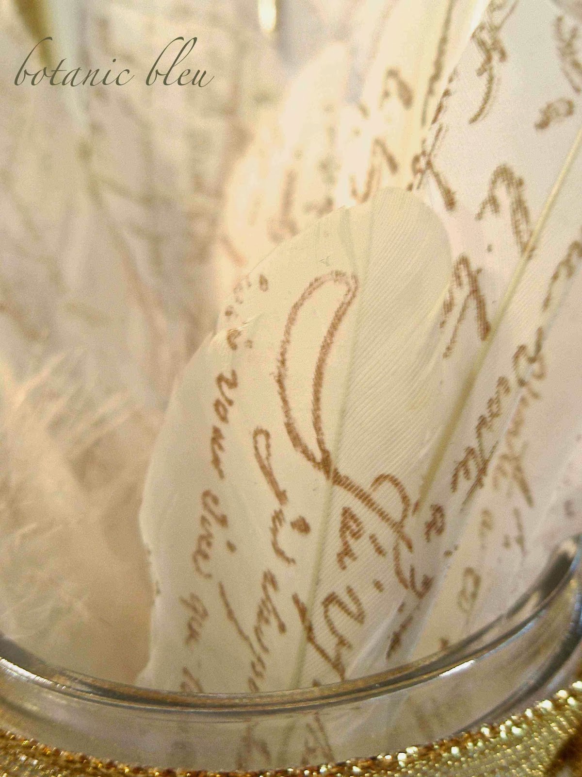Botanic Bleu French Script Feathers