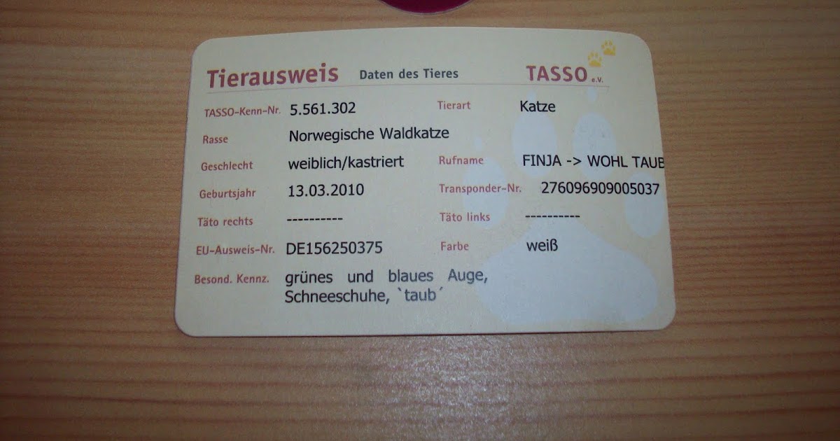 Lovely cat paws: TASSO - Registrierung abgeschlossen