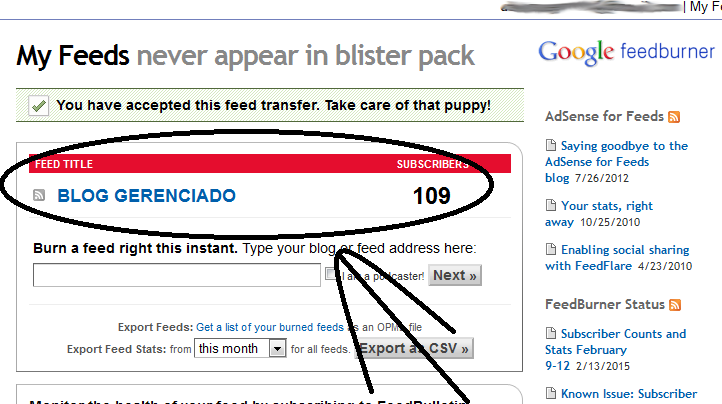 FeedBurner BG