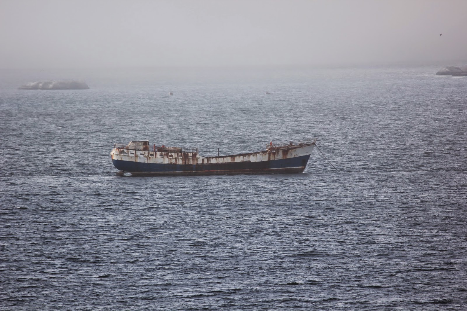 Bressay bank hout bay 07 picture