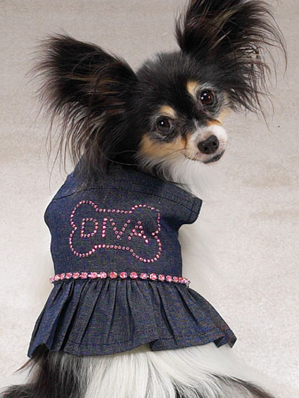 Dog Abc Dog Fashion Accessories dog fashion accessories