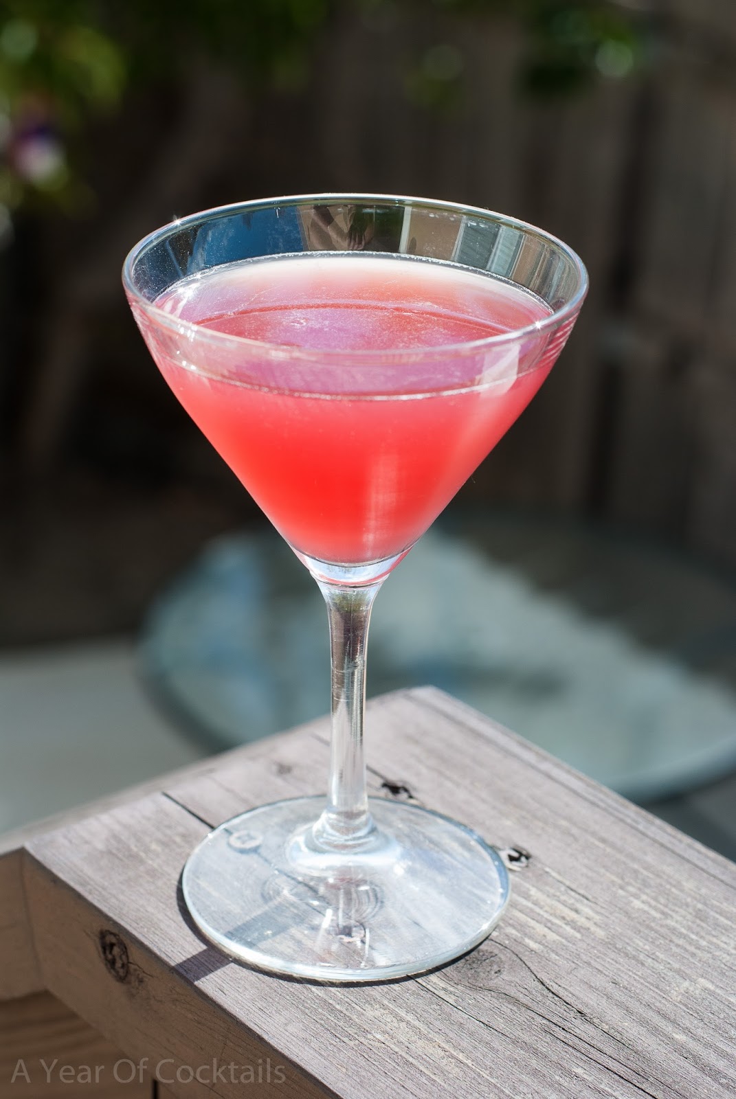 Purple Blossom Martini A Year of Cocktails