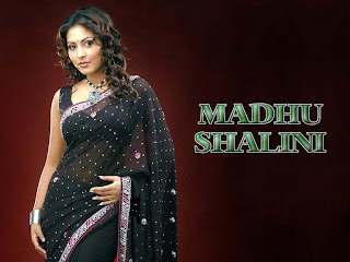 Madhu Shalini Hit Movies