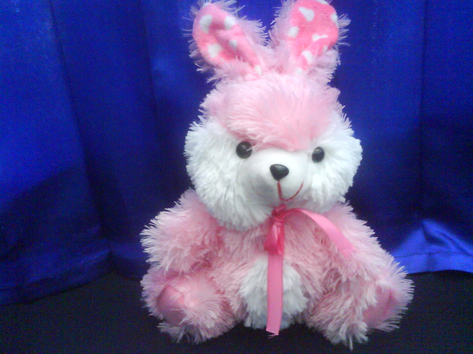 Boneka Kelinci - Anita'shop