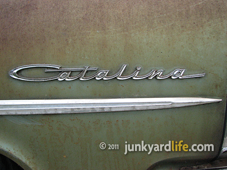 The'63 was full of trim and emblems such as this Catalina fender emblem