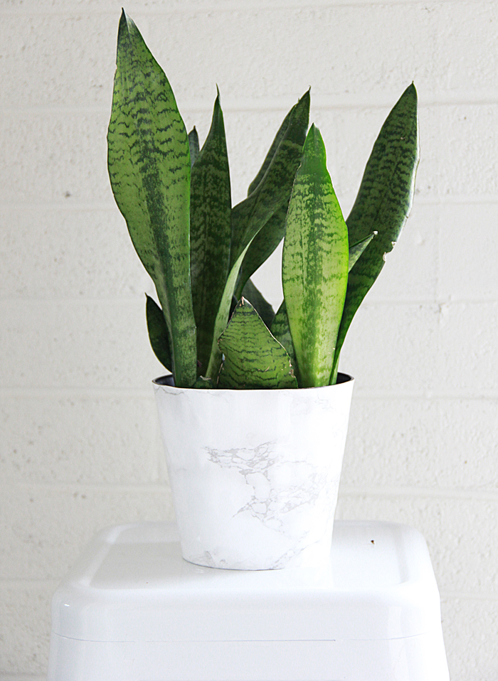 A Bubbly Life DIY Faux Marble Plant Pot