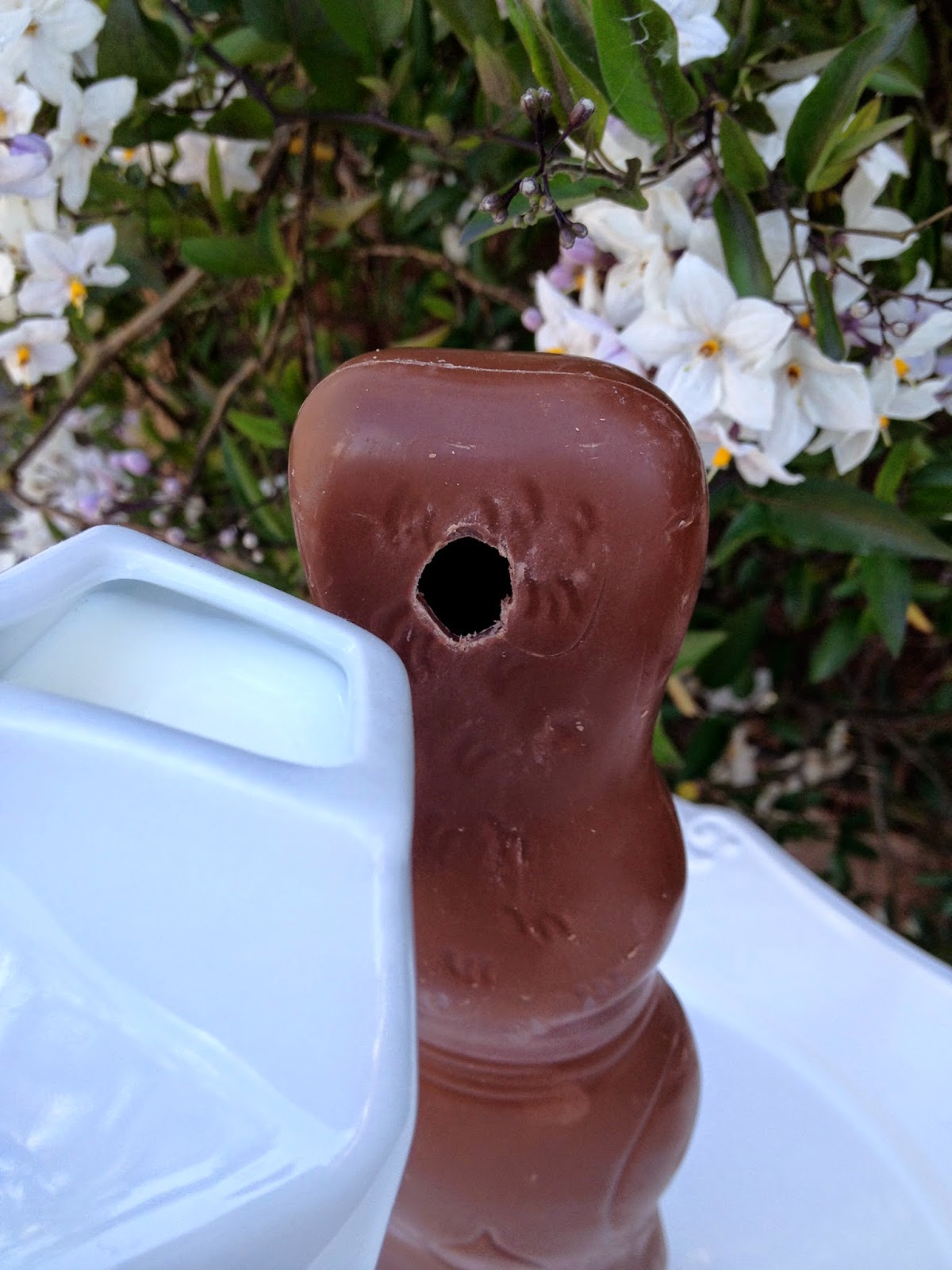 Jac o' lyn Murphy The days of milk and BUNNY…Chocolate Bunny Milk