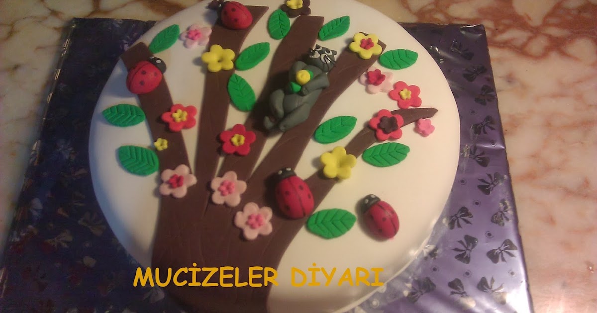 Mucizeler Diyarı KEDİLİ PASTA
