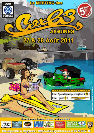 AFFICHE 5° MEETING 2011