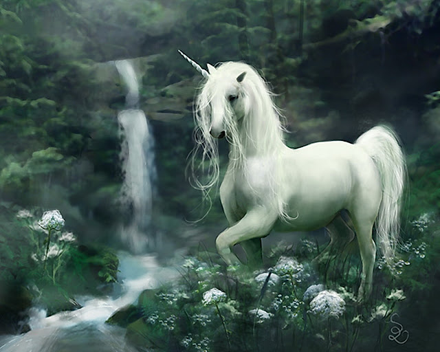 Unicorn-fantasy-30995379-1280-1024.jpg