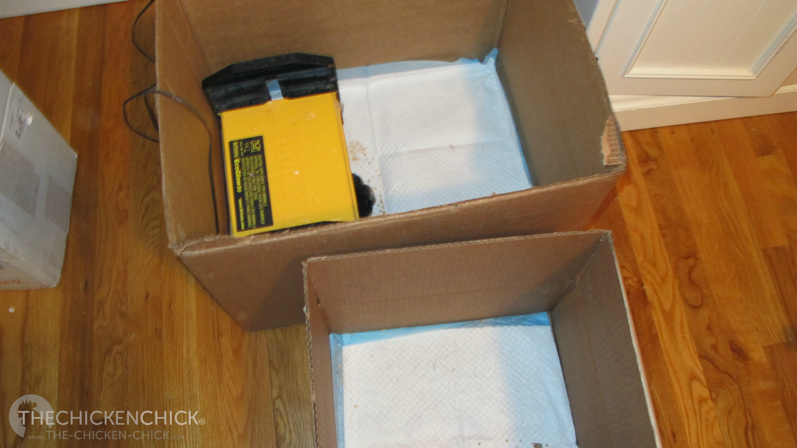 The Chicken Chick® How to Build a Better Brooder for Raising Baby Chicks