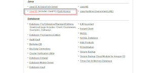 選擇Java SE (includes JavaFX) | Early Access超連結