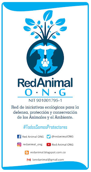 Red Animal ONG : Campañas