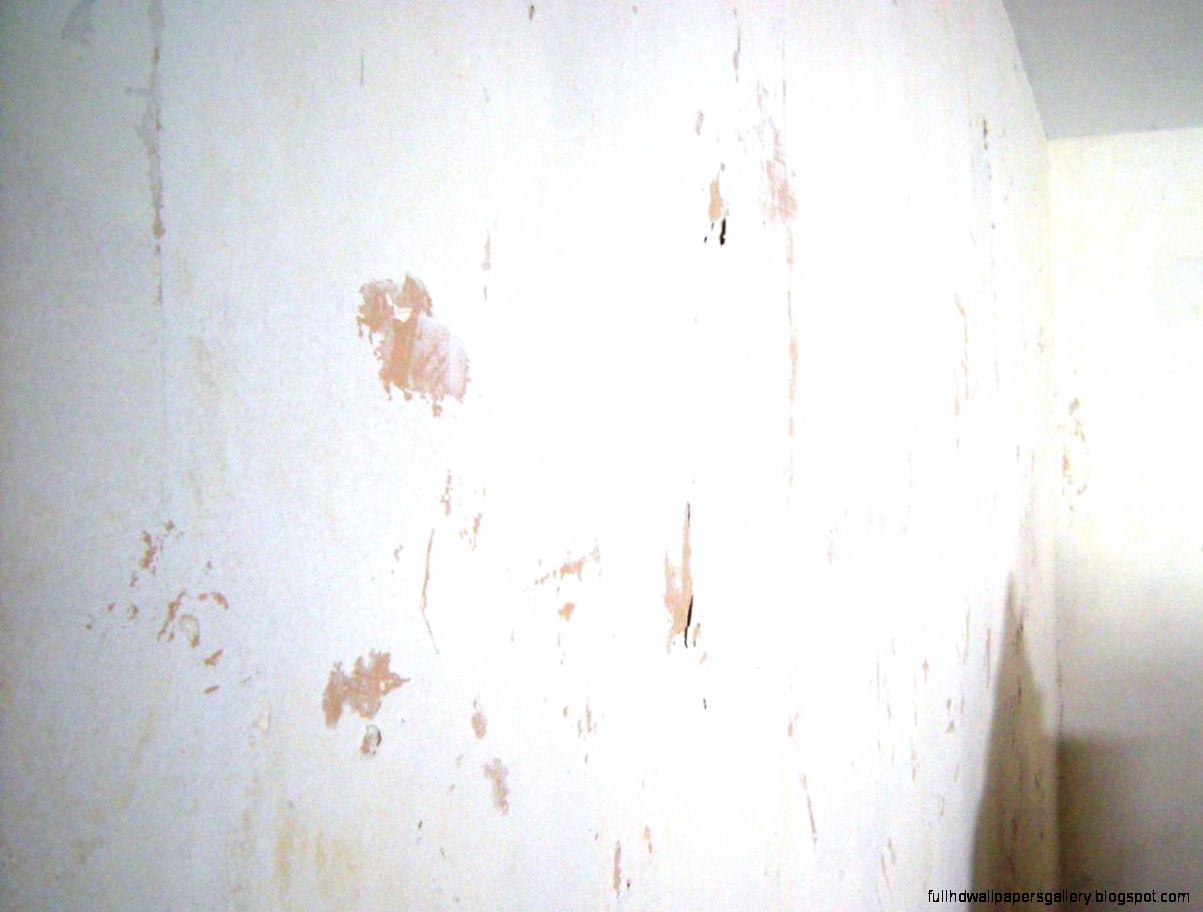 How to Remove Wallpaper Using Solvents or Steam Interior Design How to Remove Wallpaper Using Solvents or Steam Interior Design