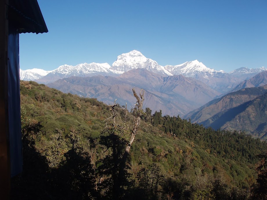 Annapurna Ghorepani Poon hill trek package, cost, guide and itinerary in Nepal
