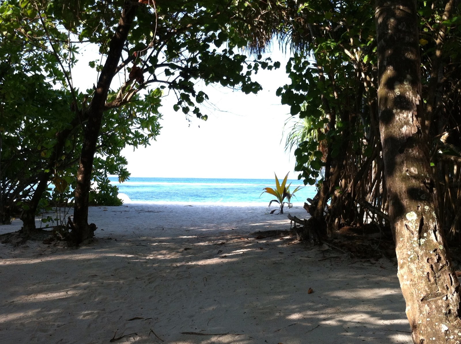 Party Vista Mare Sea And Sport In A Maldive Atoll
