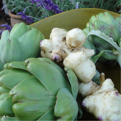 urban artichoke Jerusalem Artichokes An American Native